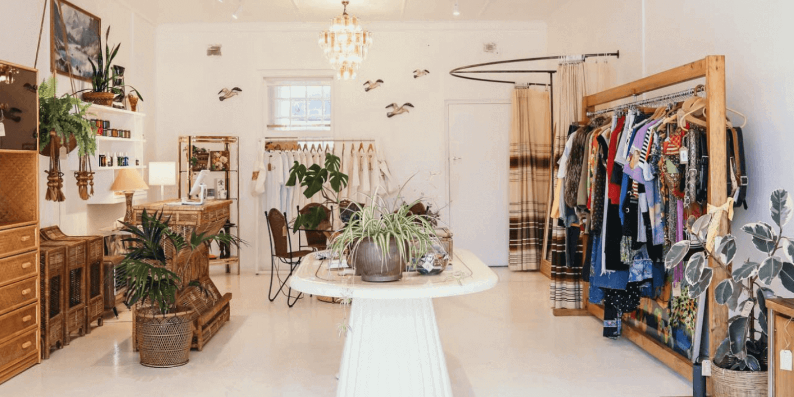 LCC Hero News Banner (33)