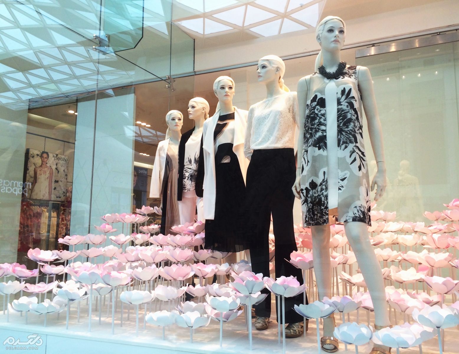 نقش روانشناسی رنگ در ویترین